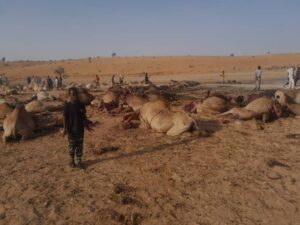 قصف الطيران الحربي لضواحي مدينة مليط